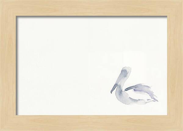 Pelican In Soft Hues