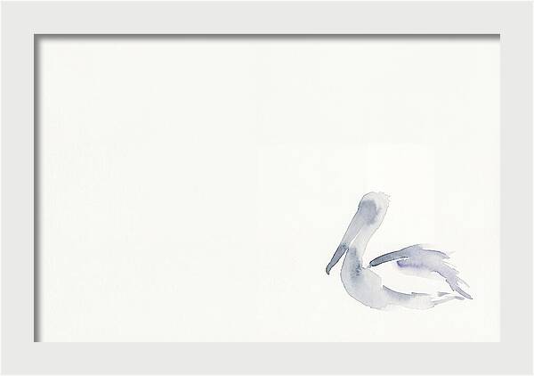 Pelican In Soft Hues