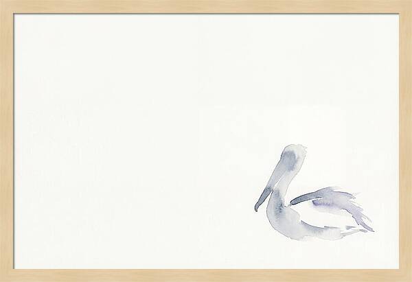 Pelican In Soft Hues