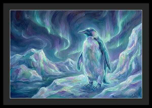 Penguin Under Aurora