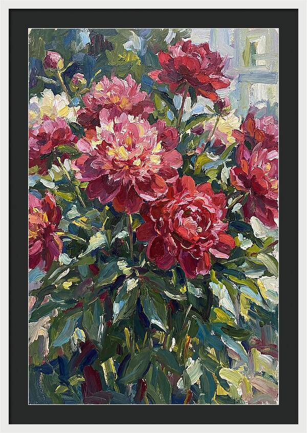 Peonies In Full Bloom