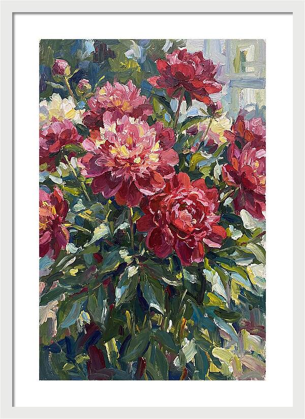Peonies In Full Bloom
