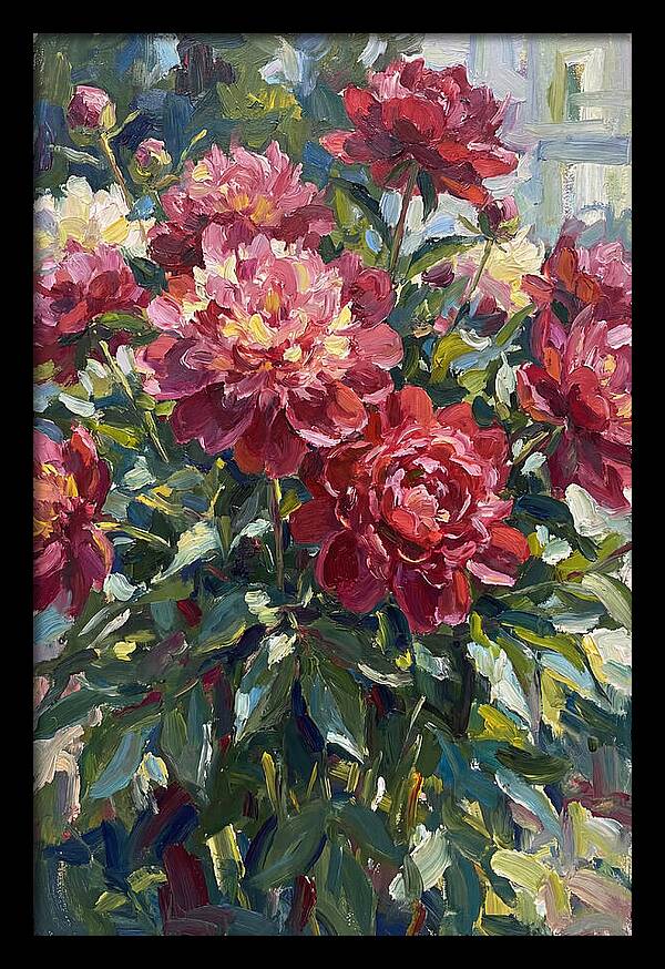 Peonies In Full Bloom