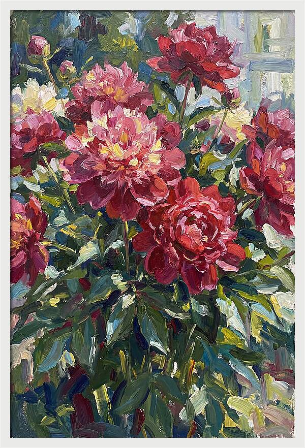 Peonies In Full Bloom