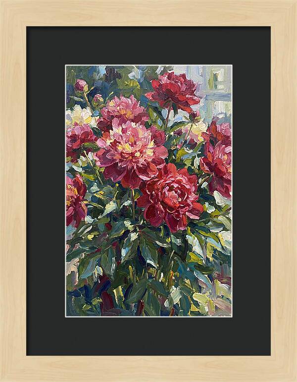 Peonies In Full Bloom