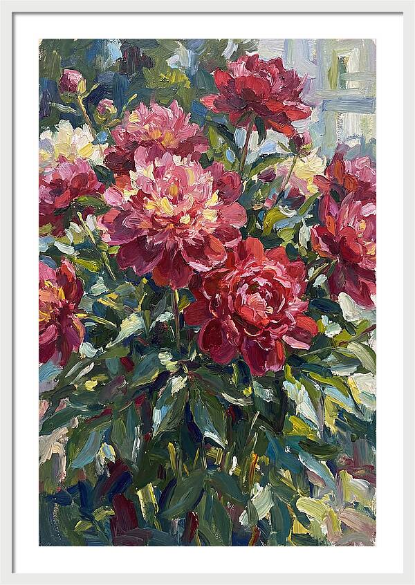 Peonies In Full Bloom