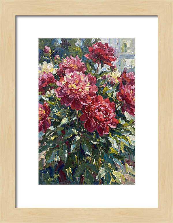 Peonies In Full Bloom