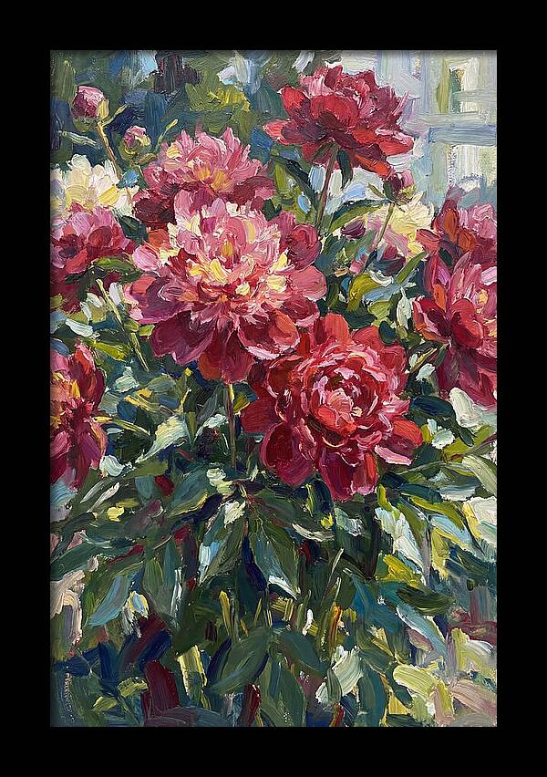 Peonies In Full Bloom