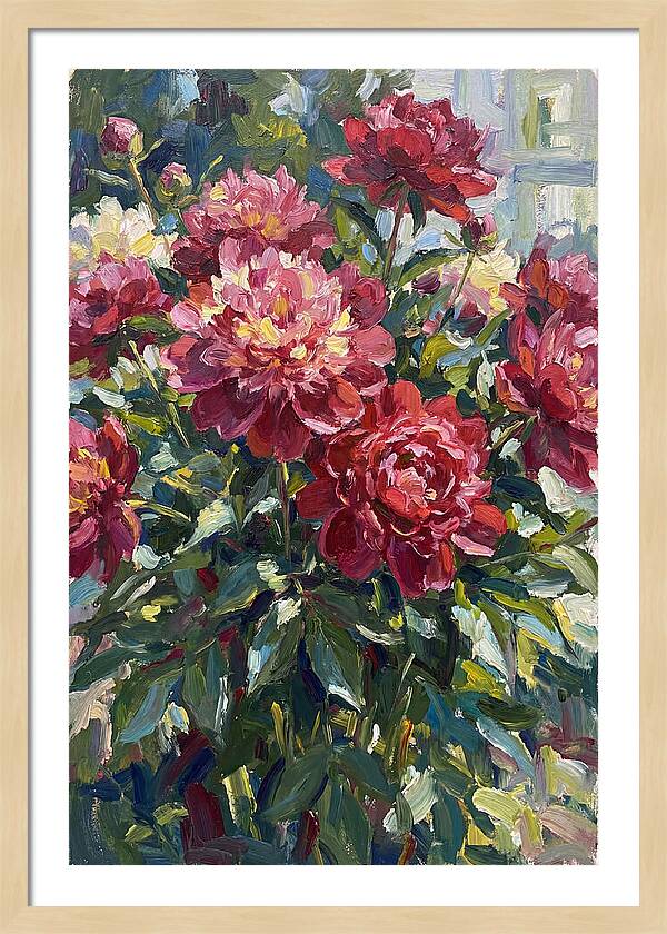 Peonies In Full Bloom
