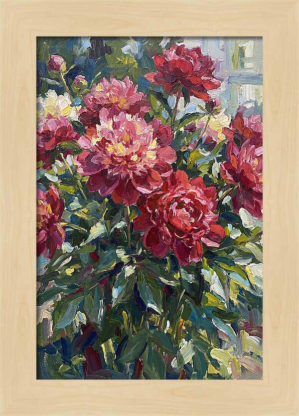 Peonies In Full Bloom