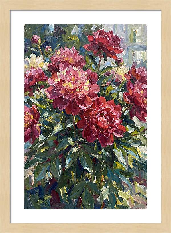 Peonies In Full Bloom