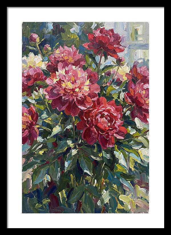 Peonies In Full Bloom