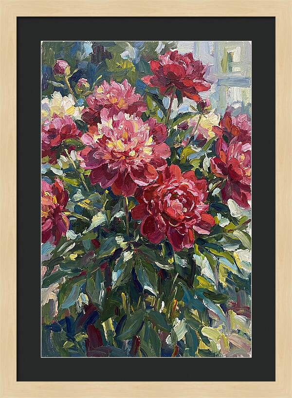 Peonies In Full Bloom