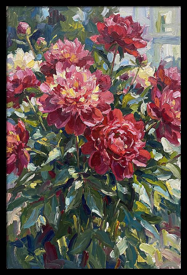 Peonies In Full Bloom