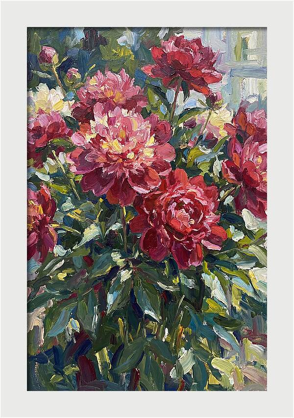 Peonies In Full Bloom
