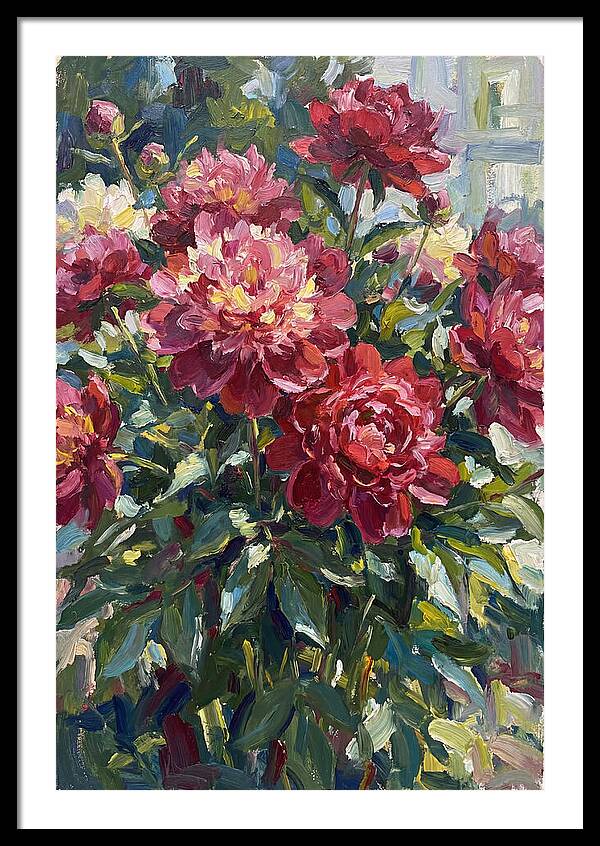 Peonies In Full Bloom