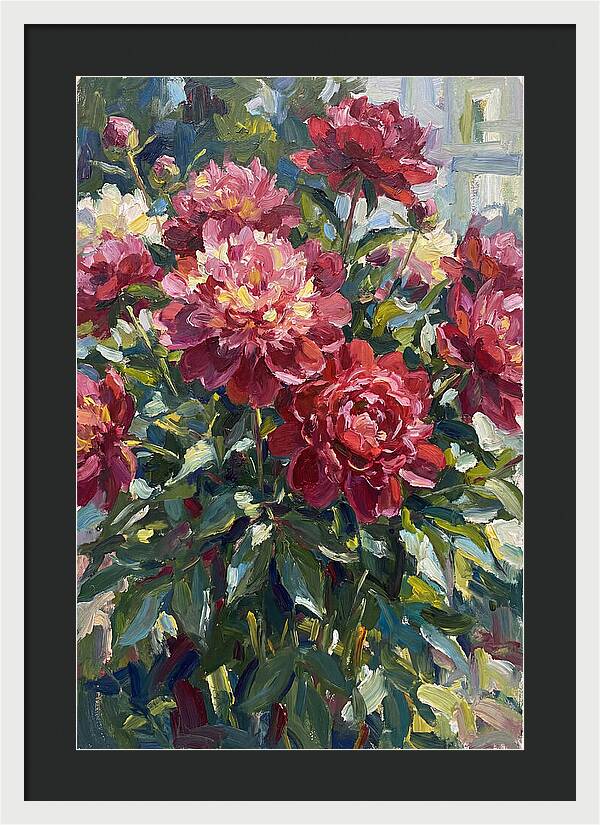 Peonies In Full Bloom
