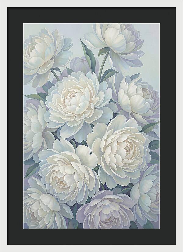 Peony Bush In Bloom