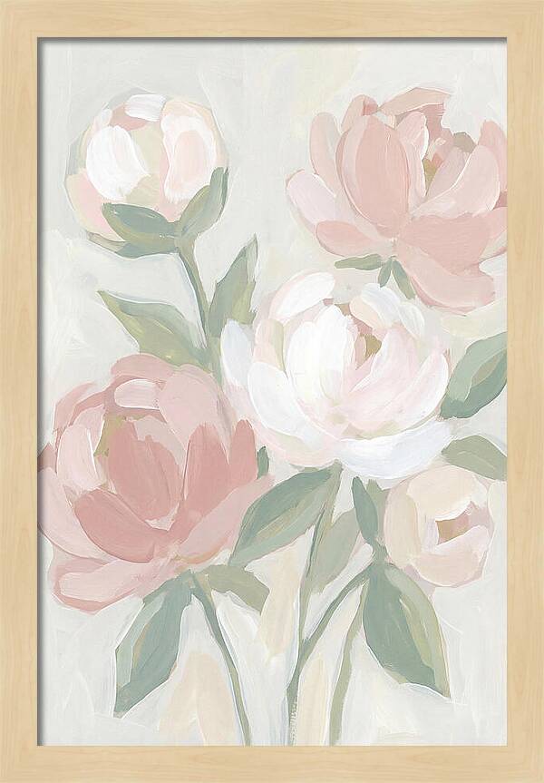 Peony Garden Serenity