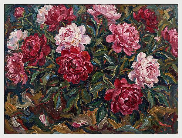 Peony Paradise Bloom