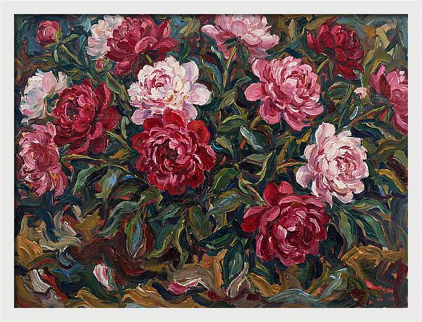 Peony Paradise Bloom