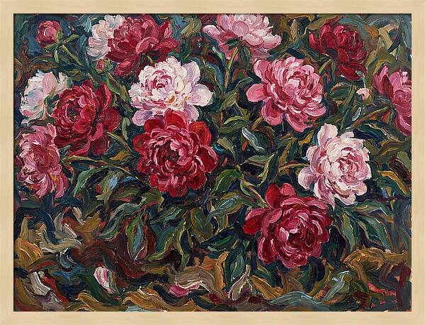 Peony Paradise Bloom