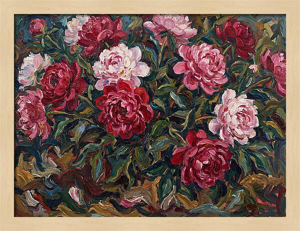 Peony Paradise Bloom