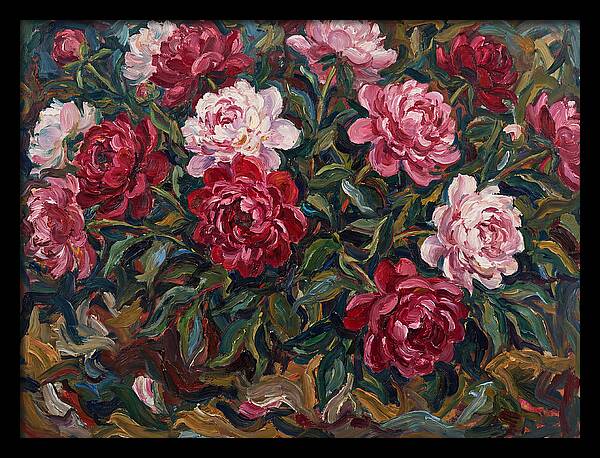 Peony Paradise Bloom