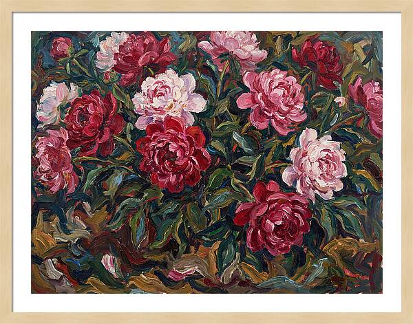 Peony Paradise Bloom