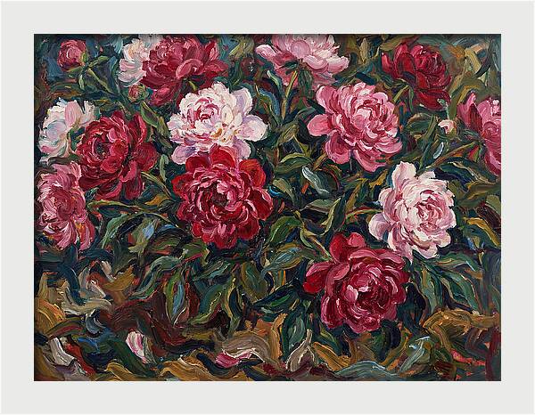 Peony Paradise Bloom