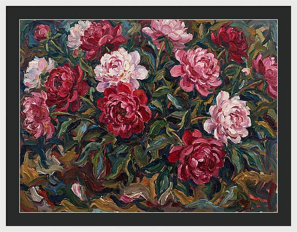 Peony Paradise Bloom