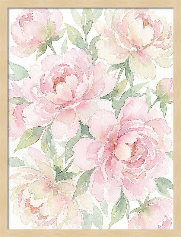 Peony Paradise Delight
