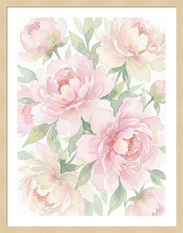 Peony Paradise Delight