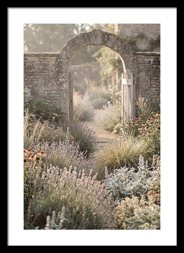 Perennial Garden In Full Bloom