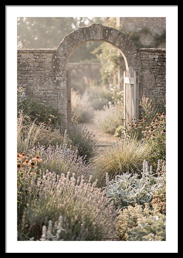 Perennial Garden In Full Bloom