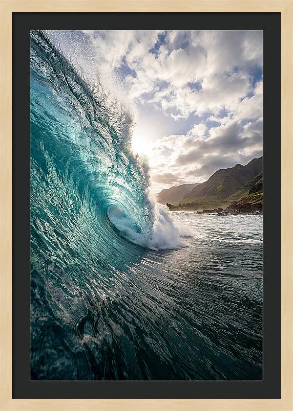 Perfect Barrel Hawaii
