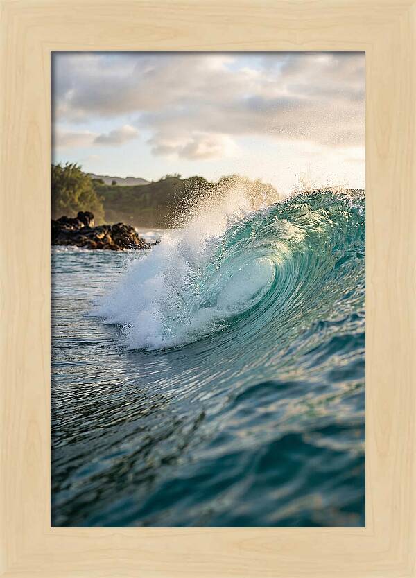 Perfect Barrel Wave