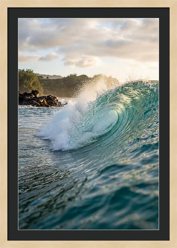 Perfect Barrel Wave