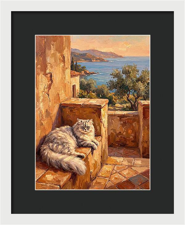 Persian Cat By The Mediterranean