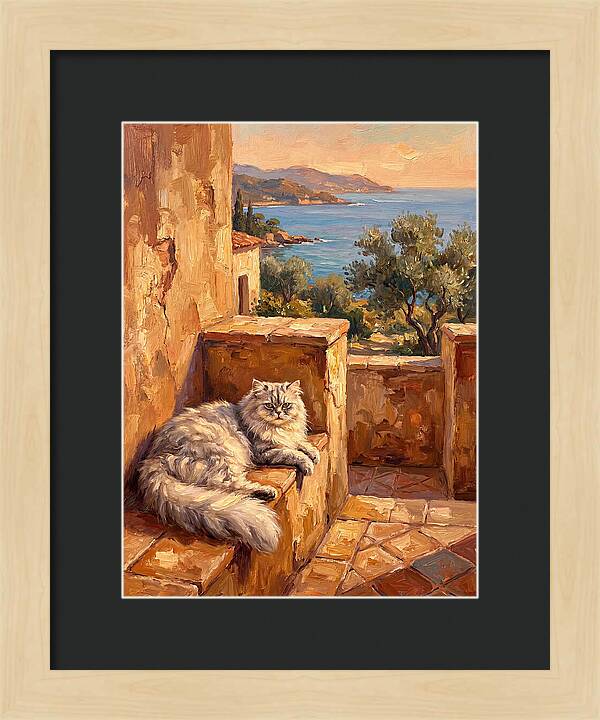 Persian Cat By The Mediterranean