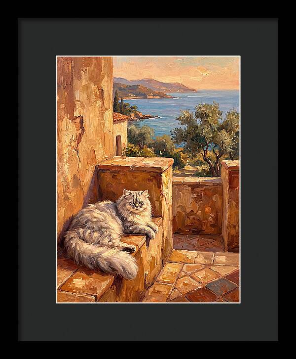 Persian Cat By The Mediterranean