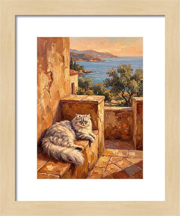 Persian Cat By The Mediterranean