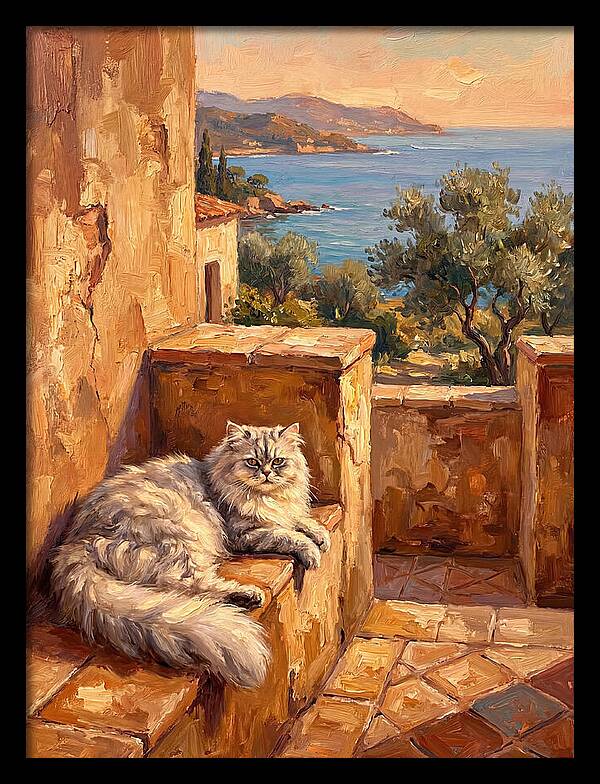 Persian Cat By The Mediterranean