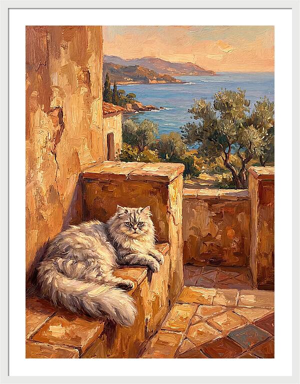 Persian Cat By The Mediterranean