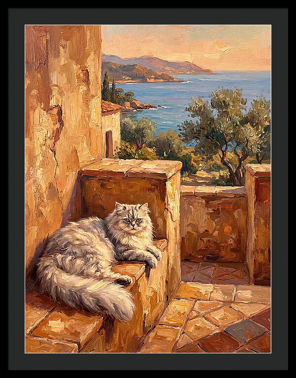 Persian Cat By The Mediterranean