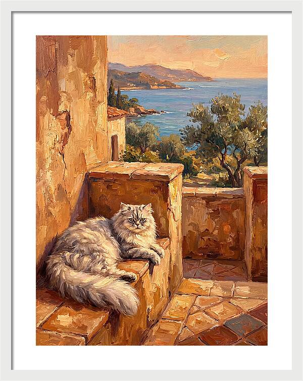 Persian Cat By The Mediterranean