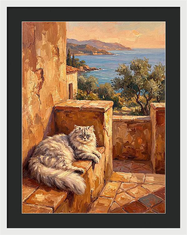 Persian Cat By The Mediterranean