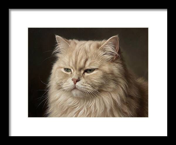 Persian Cat Portrait