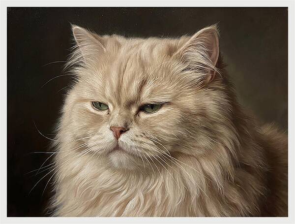Persian Cat Portrait