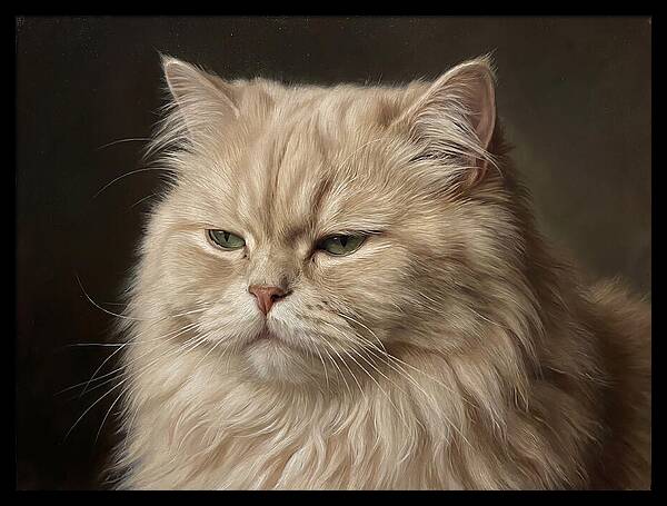 Persian Cat Portrait